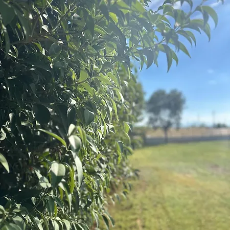 بيت للعطل La Casa Pacifica نيا موذانيا